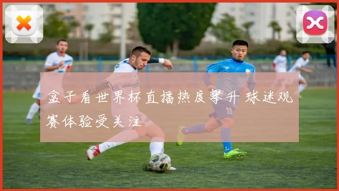 盒子看世界杯直播热度攀升 球迷观赛体验受关注