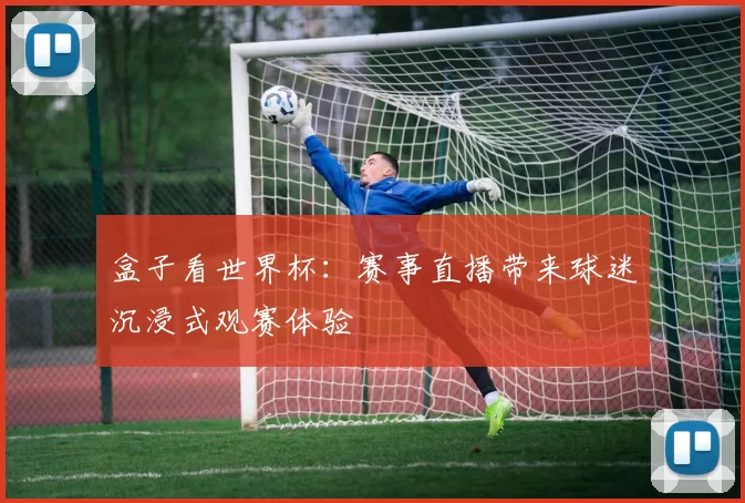 盒子看世界杯:赛事直播带来球迷沉浸式观赛体验
