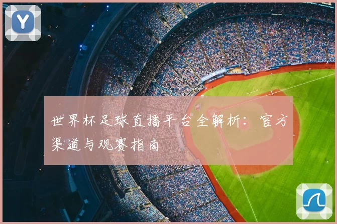 世界杯足球直播平台全解析：官方渠道与观赛指南