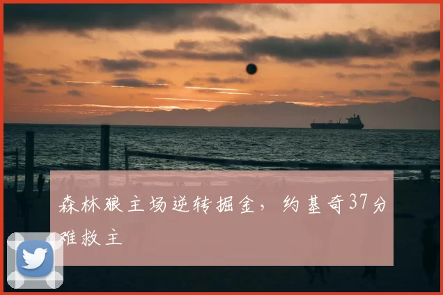 森林狼主场逆转掘金,约基奇37分难救主