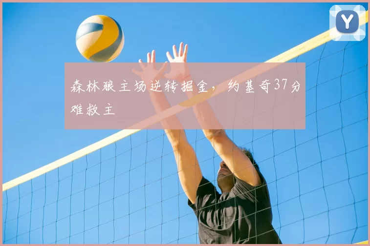 森林狼主场逆转掘金,约基奇37分难救主