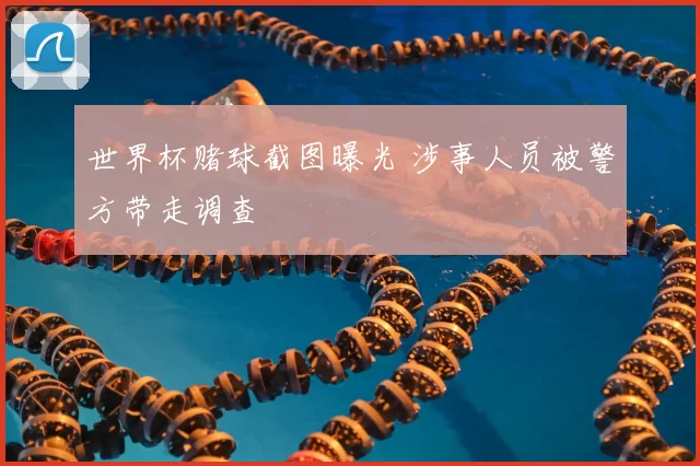 世界杯赌球截图曝光 涉事人员被警方带走调查