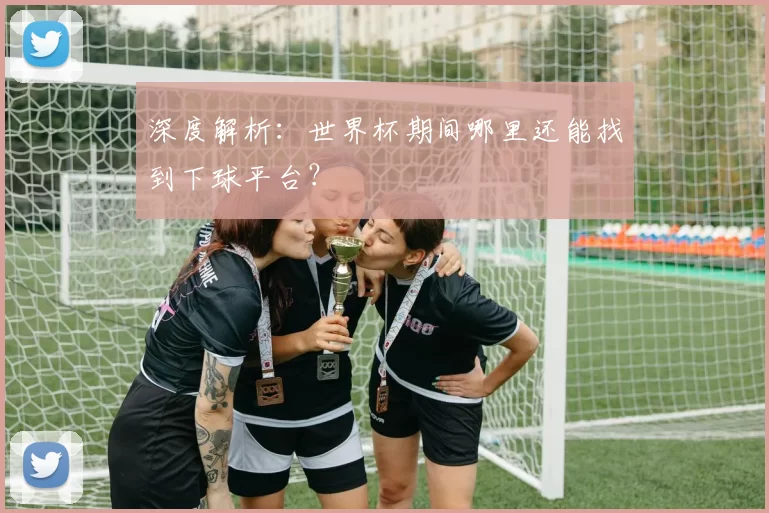 深度解析:世界杯期间哪里还能找到下球平台?