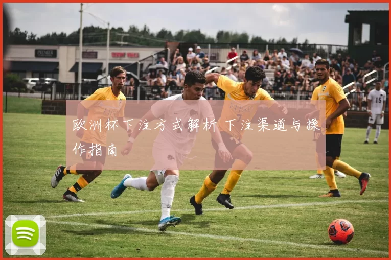 欧洲杯下注方式解析 下注渠道与操作指南