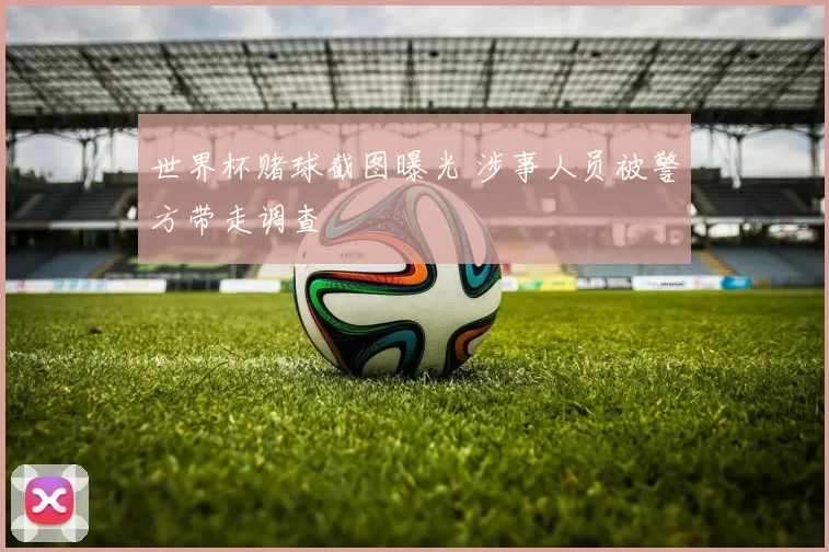 世界杯赌球截图曝光 涉事人员被警方带走调查