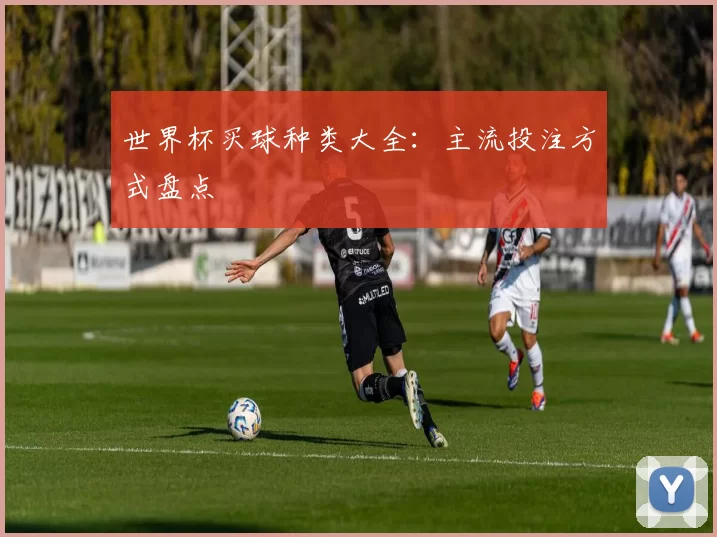 世界杯买球种类大全:主流投注方式盘点