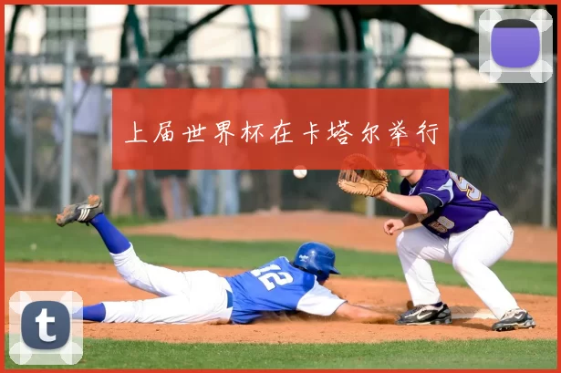 上届世界杯在卡塔尔举行