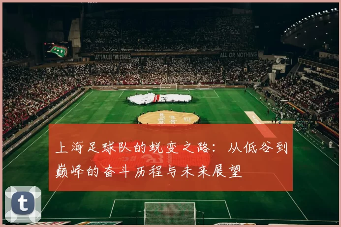 上海足球队的蜕变之路:从低谷到巅峰的奋斗历程与未来展望