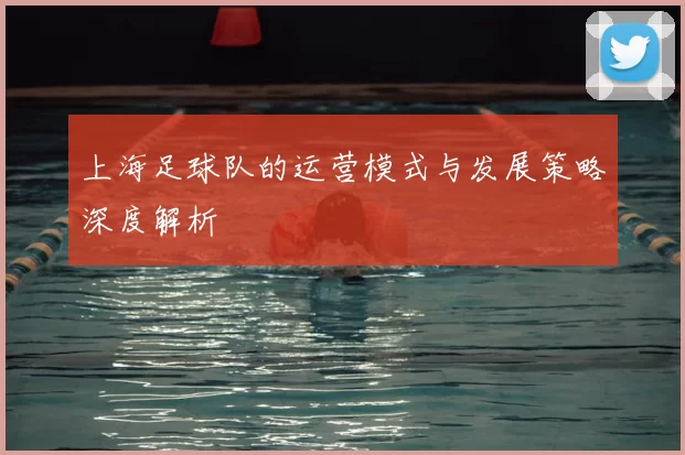 上海足球队的运营模式与发展策略深度解析